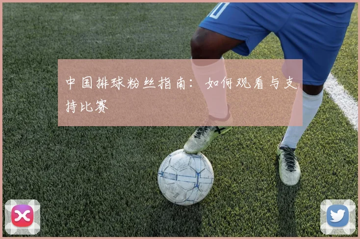 中国排球粉丝指南：如何观看与支持比赛