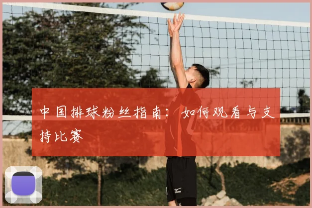 中国排球粉丝指南：如何观看与支持比赛