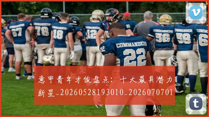 意甲青年才俊盘点:十大最具潜力新星_20260528193010_20260707013244